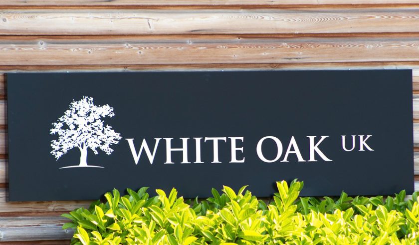 White Oak Global Advisors