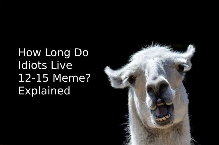 how long do idiots live